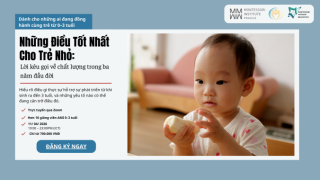 Hội Nghị Montessori Online: Điều Tốt Nhất Cho Những Năm Đầu Đời – Lời kêu gọi về chất lượng trong ba năm đầu đời