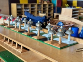 THÔNG BÁO TUYỂN SINH KHÓA ĐÀO TẠO GIÁO VIÊN MONTESSORI QUỐC TẾ AMI (3-6 Tuổi )