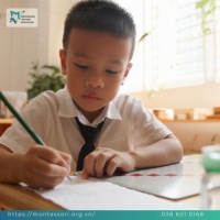TOÁN HỌC MONTESSORI – KHI CON SỐ TRỞ NÊN “SỐNG ĐỘNG” TRONG TAY TRẺ