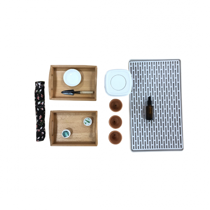 Gieo Hạt (Germinating Seeds)